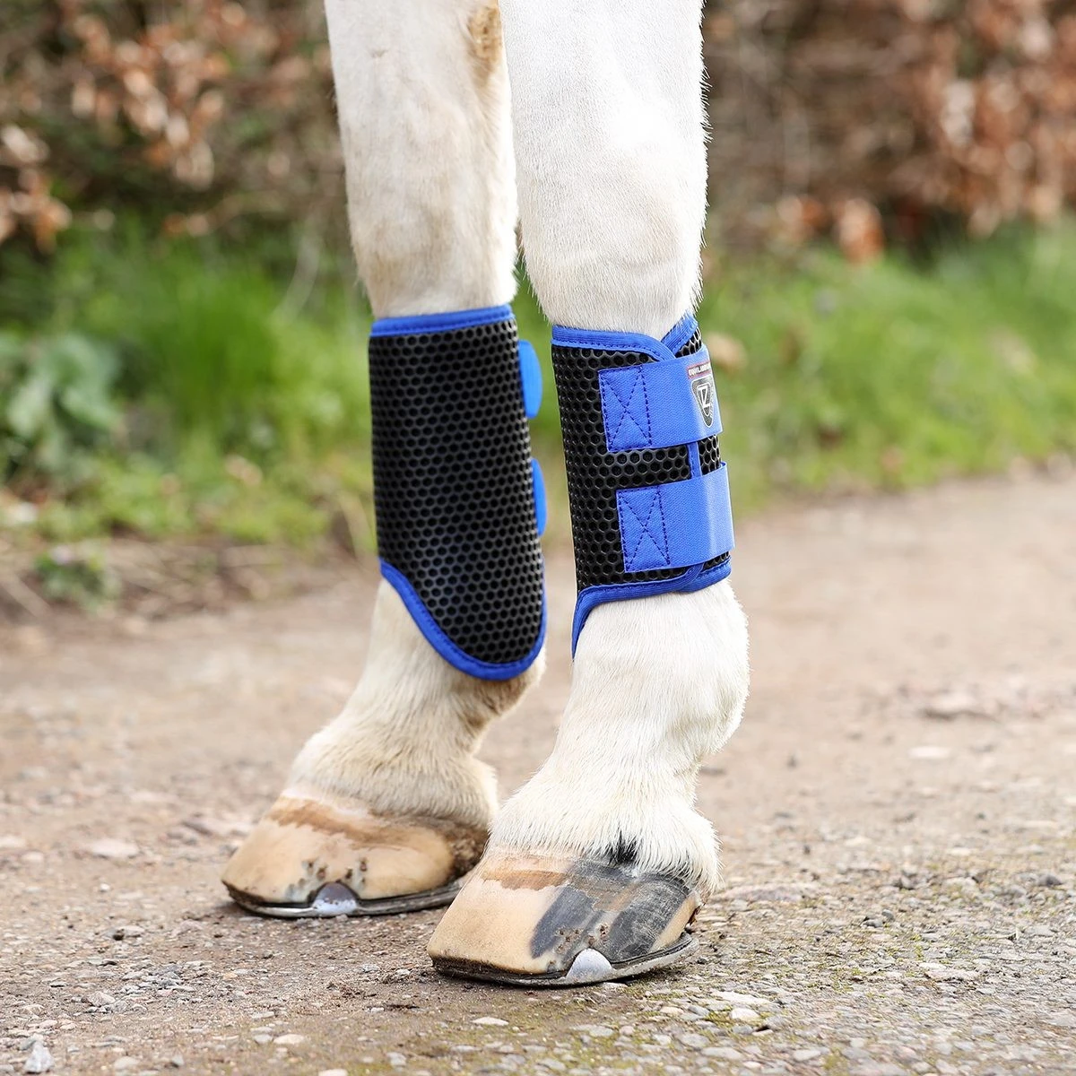 Equilibrium Tri-Zone Brushing Boots - NEW (Royal Blue) 2 Equilibrium Tri-Zone Brushing Boots - NEW (Royal Blue) - Image 2