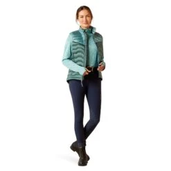 Ariat Womens Ideal Down Gilet (IR Arctic/Silver Pine) 7 Ariat Womens Ideal Down Gilet (IR Arctic/Silver Pine) -Professional Equestrian Shop 20344c