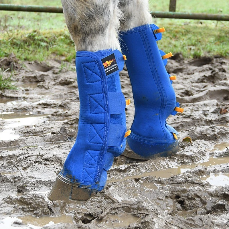 Equilibrium Equi-Chaps Close Contact Chaps 1 Equilibrium Equi-Chaps Close Contact Chaps