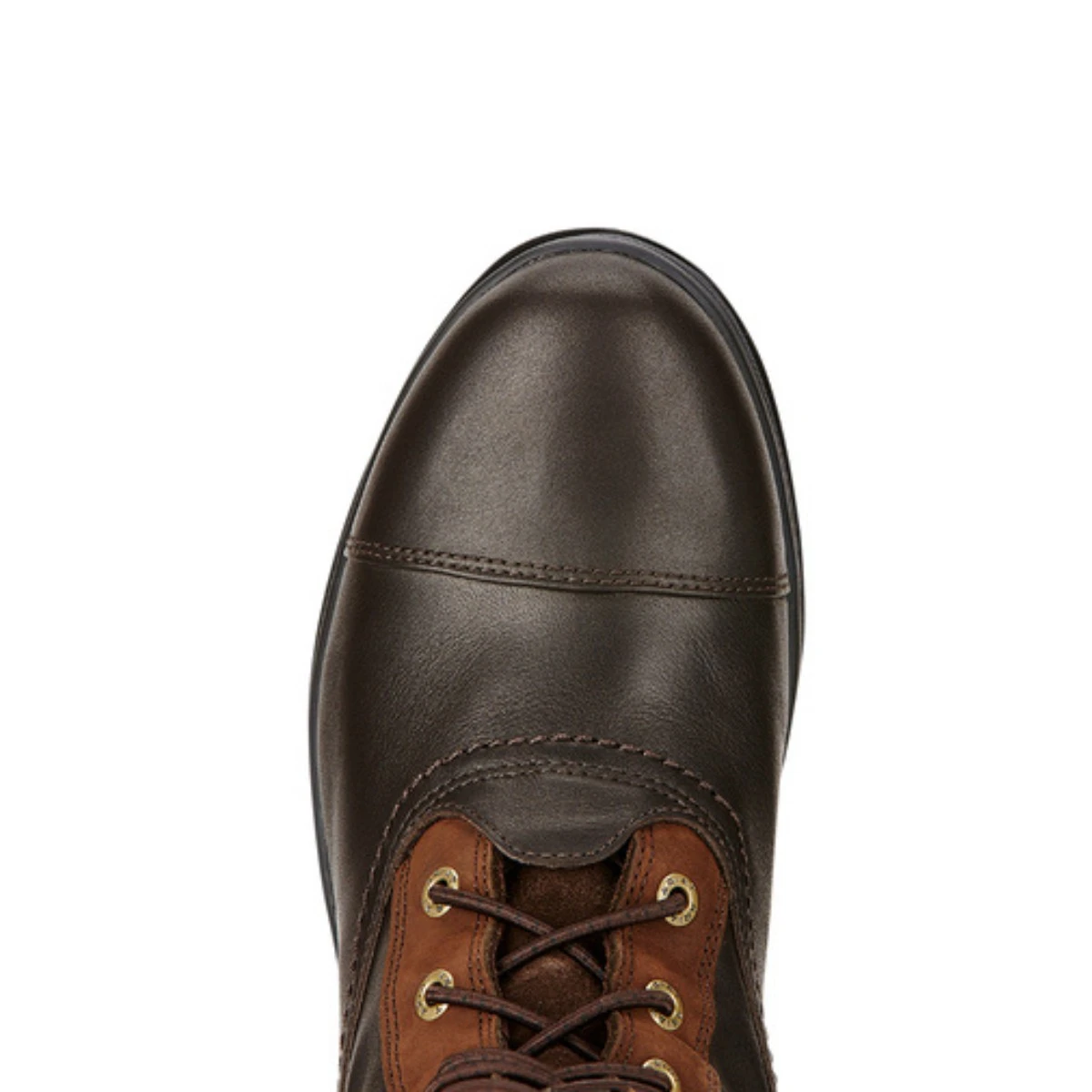 Ariat Women's Coniston Pro GTX Insulated Boots (Ebony) 4 Ariat Women's Coniston Pro GTX Insulated Boots (Ebony) - Image 4