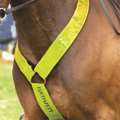 Equisafety Neckband -Professional Equestrian Shop 5887e