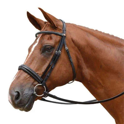 Albion KB Competition Snaffle Bridle With Cavesson (30mm Thickness) 1 Albion KB Competition Snaffle Bridle With Cavesson (30mm Thickness)