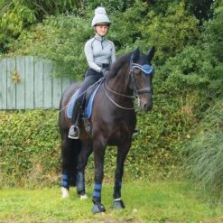 Woof Wear Club Brushing Boot Colour Fusion (Electric Blue) -Professional Equestrian Shop 6402c