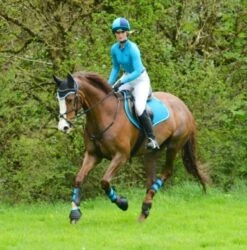 Woof Wear Dressage Saddle Cloth Colour Fusion (Turquoise) -Professional Equestrian Shop 7451c