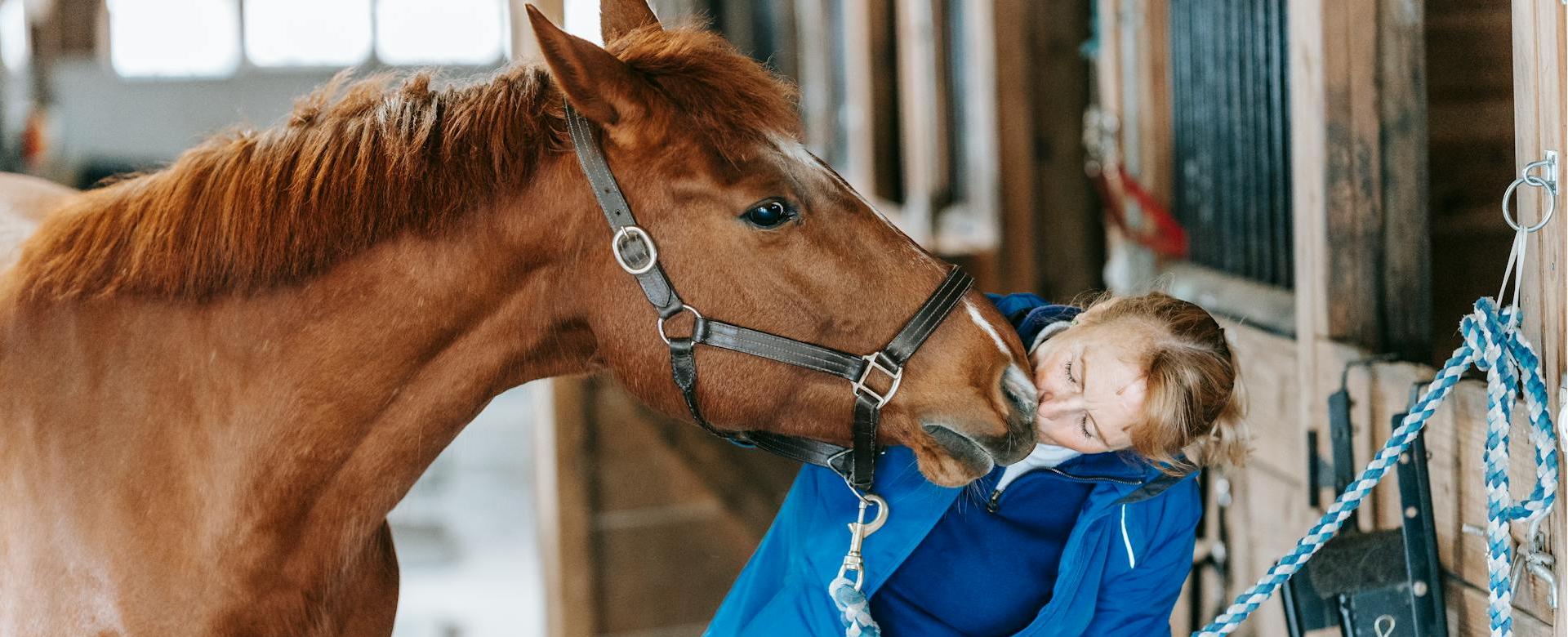 Professional Equestrian Shop 8 Professional Equestrian Shop -Professional Equestrian Shop pexels barbara olsen 7882319