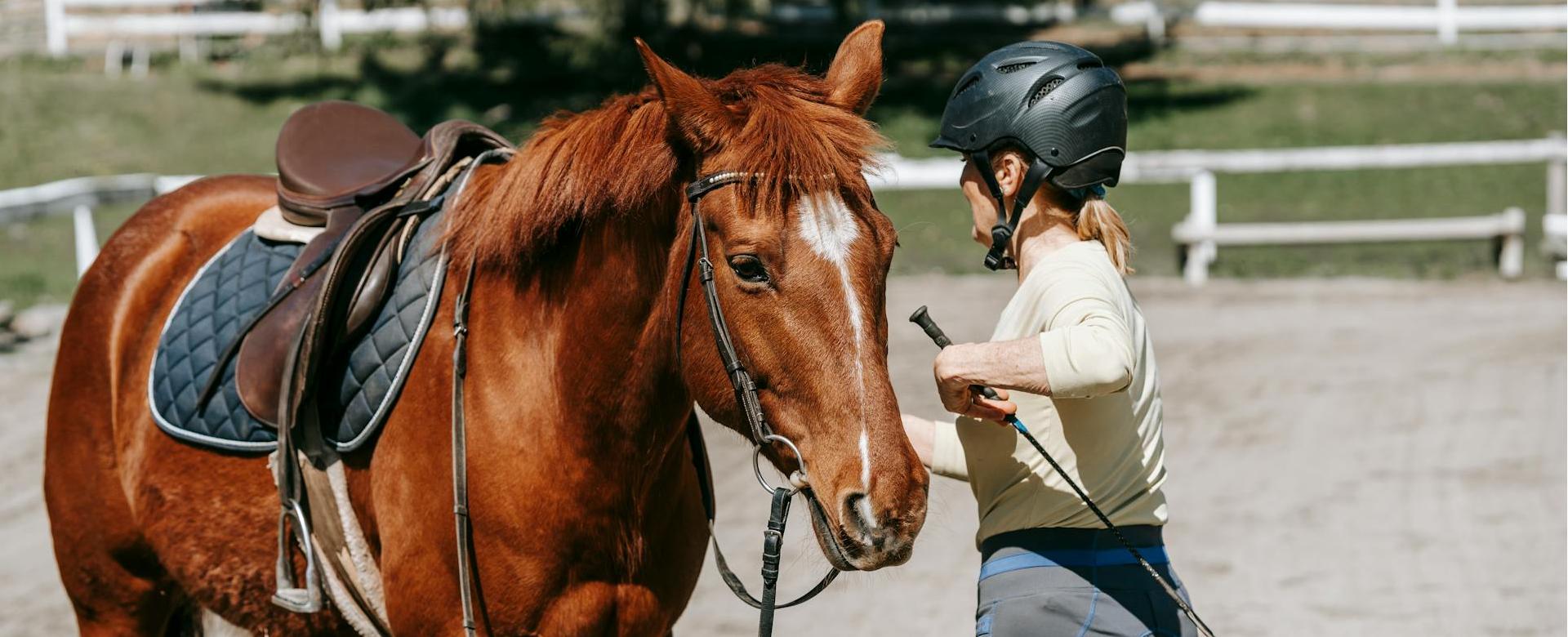 Professional Equestrian Shop 1 Professional Equestrian Shop -Professional Equestrian Shop pexels barbara olsen 7882941